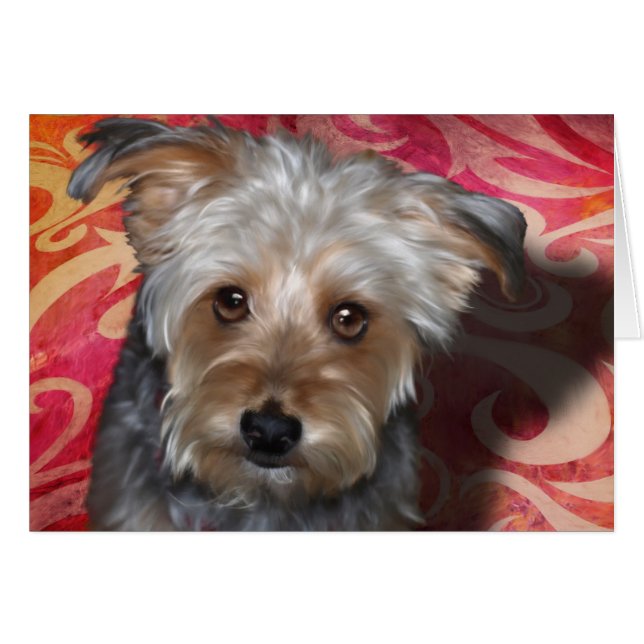 Yorkie (Voorkant Horizontaal)