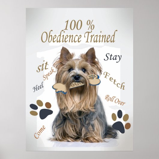 Yorkie 100 % Poster met opleiding voor bedience (Voorkant)