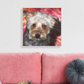 Yorkie 12x12 Stretched Canvas (Insitu (Woonkamer))