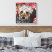 Yorkie 12x12 Stretched Canvas (Insitu (Slaapkamer))
