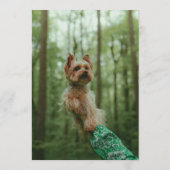 Yorkie Bar Menu (Achterkant)