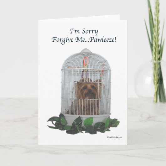 Yorkie Birdcage Sorry Kaart (Voorkant)