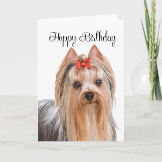 Yorkie Birthday Kaart (Voorkant)