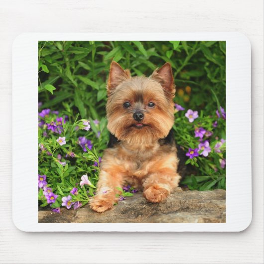 Yorkie bloemen muismat (Voorkant)