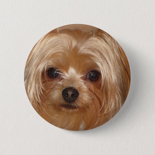 Yorkie Botton Ronde Button 5,7 Cm (Voorkant)