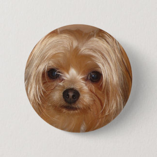Yorkie Botton Ronde Button 5,7 Cm