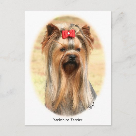 Yorkie Briefkaart (Voorkant)