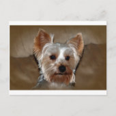 Yorkie Briefkaart (Voorkant)