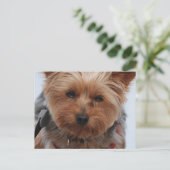 Yorkie Briefkaart (Staand voorkant)