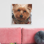 Yorkie Canvas Print (Insitu (Woonkamer))