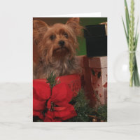 Yorkie Christmas Kaarten