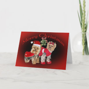 Yorkie Christmas & Mistletoe Kaarten