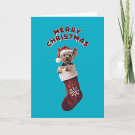 Yorkie Christmas Stocking Kaart
