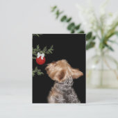 Yorkie Christmas-verleiding Feestdagenkaart (Staand voorkant)