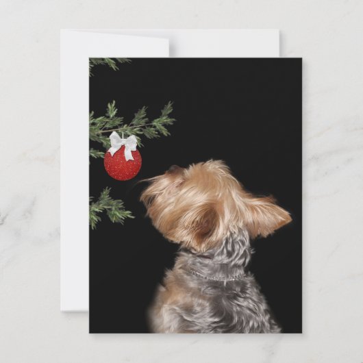 Yorkie Christmas-verleiding Feestdagenkaart (Voorkant)