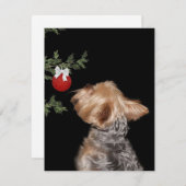 Yorkie Christmas-verleiding Feestdagenkaart (Voorkant / Achterkant)