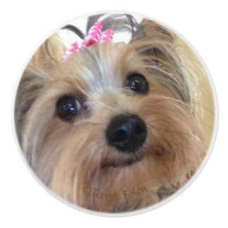 Yorkie Custom Ceramic Knob. Keramische Knop