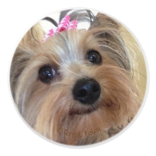 Yorkie Custom Ceramic Knob. Keramische Knop (Voorkant)
