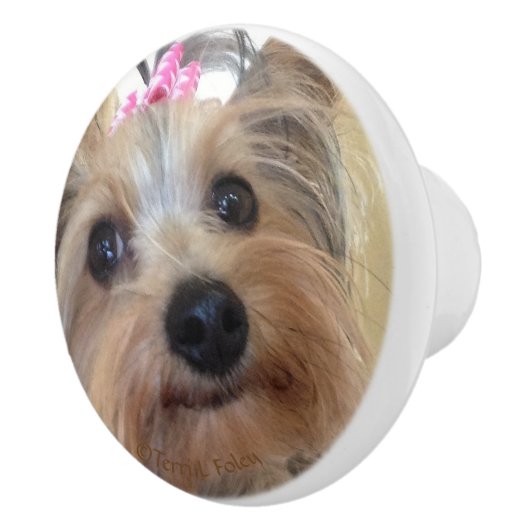 Yorkie Custom Ceramic Knob. Keramische Knop (Rechts)