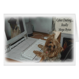 Yorkie Cyber Dating