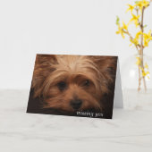 Yorkie die u missen kaart (Gele Bloem)