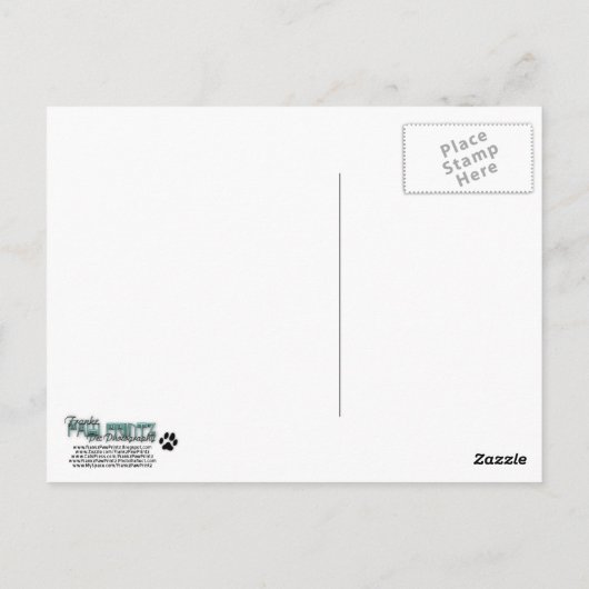 Yorkie DIVA Briefkaart (Achterkant)