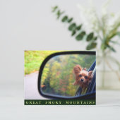 Yorkie Dog - Autumn Ride - Grote Mokerbergen Briefkaart (Staand voorkant)