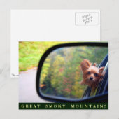 Yorkie Dog - Autumn Ride - Grote Mokerbergen Briefkaart (Voorkant / Achterkant)