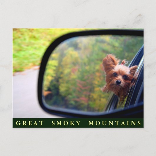 Yorkie Dog - Autumn Ride - Grote Mokerbergen Briefkaart (Voorkant)