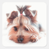 Yorkie Dog Square Stickers (Voorkant)