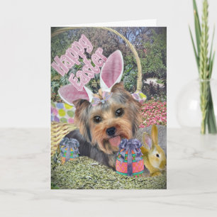 Yorkie Easter Egg Hunt Kaarten