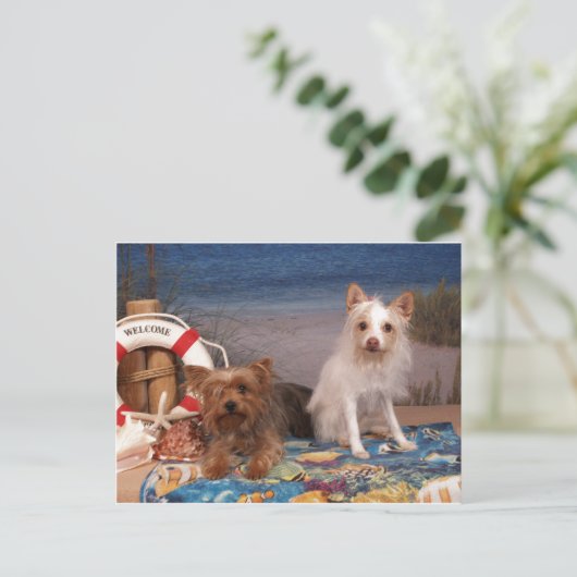 Yorkie en Friends Beach Time Briefkaart (Staand voorkant)