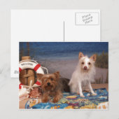 Yorkie en Friends Beach Time Briefkaart (Voorkant / Achterkant)
