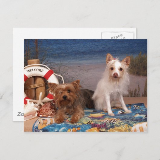 Yorkie en Friends Beach Time Briefkaart (Voorkant / Achterkant)