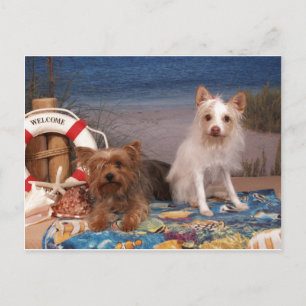 Yorkie en Friends Beach Time Briefkaart