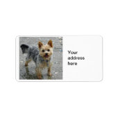 Yorkie Etiket (Voorkant)