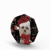 Yorkie Fotoblokken (Rechts)