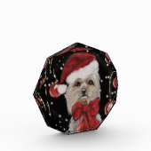 Yorkie Fotoblokken (Links)