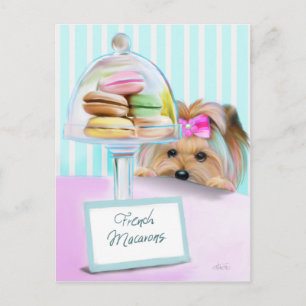 Yorkie French Macarons Briefkaart