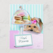 Yorkie French Macarons Briefkaart (Voorkant)