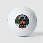 Yorkie Golfballen (Voorkant)