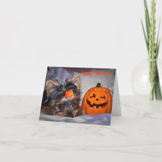 Yorkie Halloween Notecard Kaart