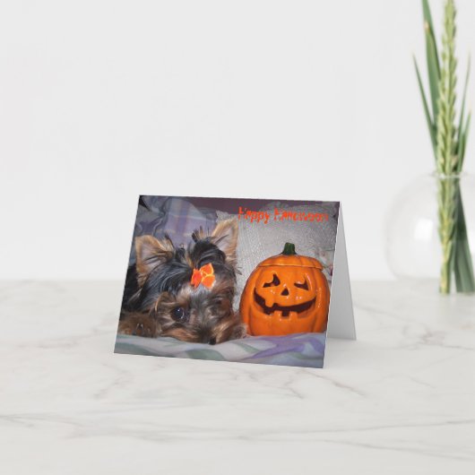 Yorkie Halloween Notecard Kaart (Voorkant)