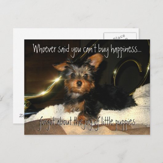 Yorkie Happiness  Briefkaart (Voorkant / Achterkant)