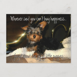 Yorkie Happiness  Briefkaart