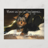 Yorkie Happiness  Briefkaart (Voorkant)