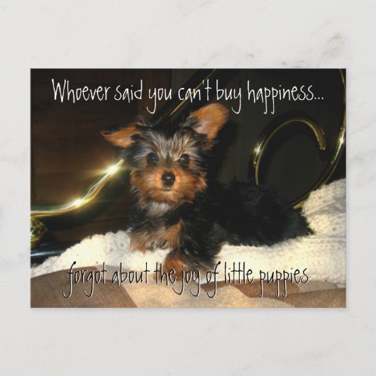 Yorkie Happiness Briefkaart (Voorkant)