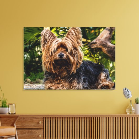 Yorkie hondendoek canvas afdruk (Insitu (Woonkamer))