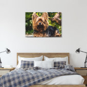 Yorkie hondendoek canvas afdruk (Insitu (Slaapkamer))