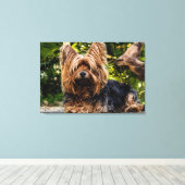 Yorkie hondendoek canvas afdruk (Insitu (Houten vloer))